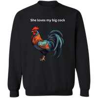 Pullover Sweatshirt1
