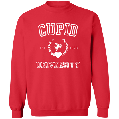 Cupid University- T-shirt | Sweatshirt | Hoodie