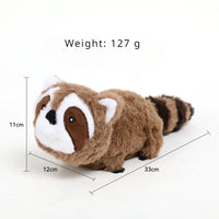 Raccoon